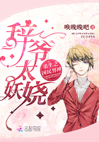 重生国民男神辞少