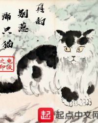 别惹猫咪是真实事件吗