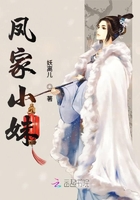 凤家女 小说