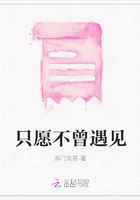 只愿从未遇见你