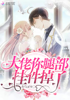 大佬,你缺腿上挂件吗