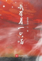 带着猫一起打电竞小说