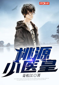 桃源小神医简介