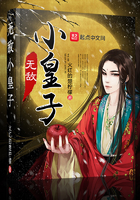 无敌小皇子 小说
